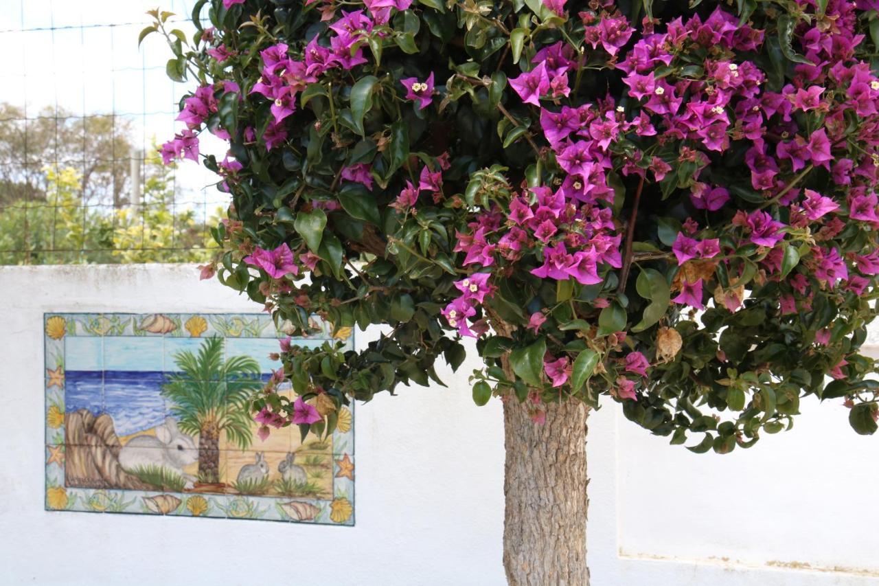 Pine Tree Apartments - Praia Da Coelha - Albufeira Luaran gambar